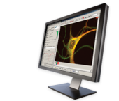 Andor iQ Live Cell Imaging Software