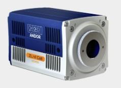 ZL41 Cell sCMOS - Image 2